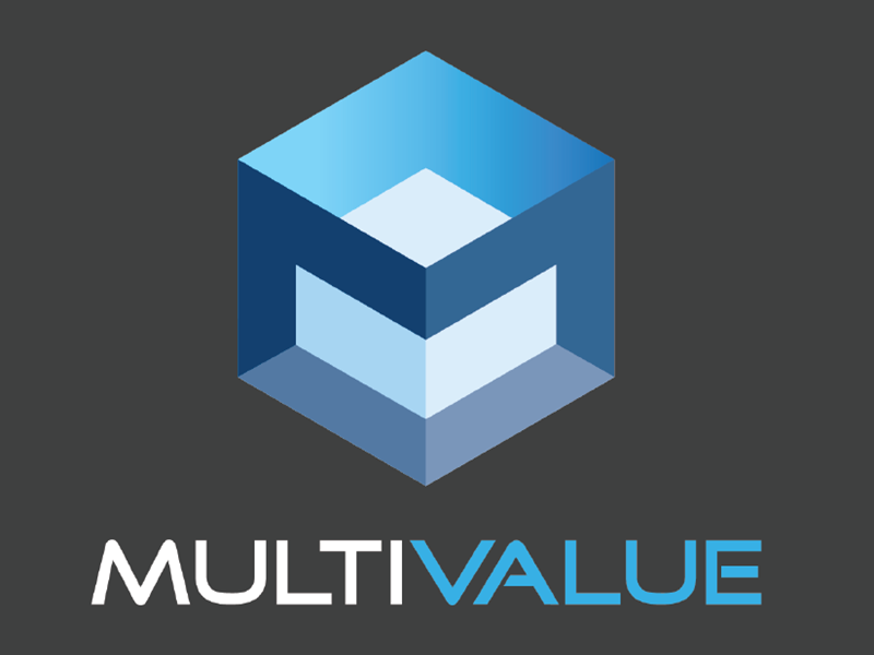 MultiValue Experts
